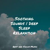 Soothing Sounds | Deep Sleep Relaxation