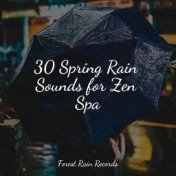 30 Spring Rain Sounds for Zen Spa