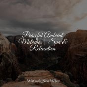 Peaceful Ambient Melodies | Spa & Relaxation