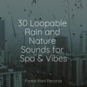 30 Loopable Rain and Nature Sounds for Spa & Vibes