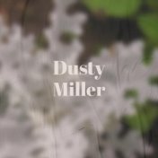 Dusty Miller