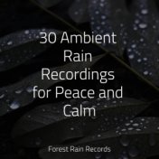 30 Ambient Rain Recordings for Peace and Calm