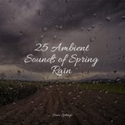 25 Ambient Sounds of Spring Rain