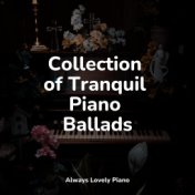 Collection of Tranquil Piano Ballads