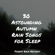 30 Astounding Autumn Rain Songs for Sleep