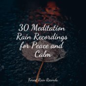 30 Meditation Rain Recordings for Peace and Calm
