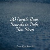 30 Gentle Rain Sounds to Help You Sleep