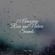 25 Amazing Rain and Nature Sounds