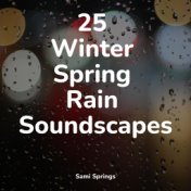 25 Winter Spring Rain Soundscapes