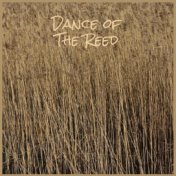 Dance of The Reed