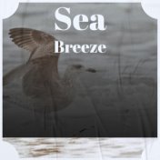 Sea Breeze