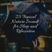 25 Tropical Nature Sounds for Sleep and Relaxation