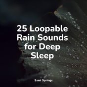 25 Loopable Rain Sounds for Deep Sleep