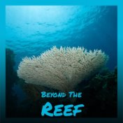 Beyond The Reef