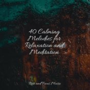 40 Calming Melodies for Relaxation and Meditation