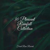 30 Pleasant Rainfall Collection