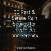 30 Rest & Serene Rain Sounds for Deep Sleep and Serenity