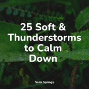 25 Soft & Thunderstorms to Calm Down