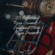 25 Relaxing Rain Sounds - Spa and Sleep Rain Sounds