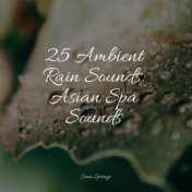 25 Ambient Rain Sounds: Asian Spa Sounds