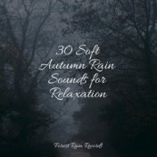 30 Soft Autumn Rain Sounds for Relaxation