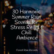 30 Harmonic Summer Rain Sounds for Stress Relief & Chill Ambience