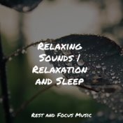 Relaxing Sounds | Relaxation and Sleep