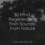 30 Mind Regenerating Rain Sounds from Nature