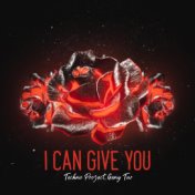 I Can Give You