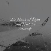 25 Hour of Rain and Nature Sounds