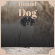 Hound Dog