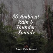 30 Ambient Rain & Thunder Sounds