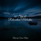 40 Spa & Relaxation Melodies
