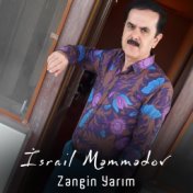 Zengin yarim