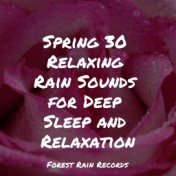 Spring 30 Relaxing Rain Sounds for Deep Sleep and Relaxation