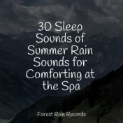 30 Sleep Sounds of Summer Rain Sounds for Comforting at the Spa