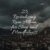 25 Revitalizing Rain Album for Sleep and Mindfulness