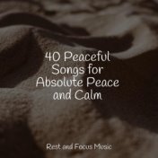 40 Peaceful Songs for Absolute Peace and Calm