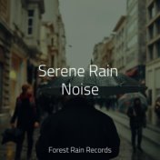 Serene Rain Noise