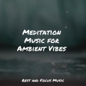 Meditation Music for Ambient Vibes