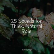 25 Sounds for Think: Natural Rain