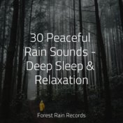 30 Peaceful Rain Sounds - Deep Sleep & Relaxation