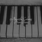 25 Beautiful, Calming Piano Tunes