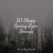 30 Sleepy Spring Rain Sounds