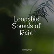 Loopable Sounds of Rain