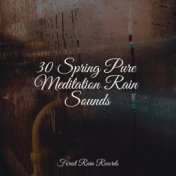 30 Spring Pure Meditation Rain Sounds