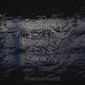 30 Meditation Ambient Rain Pieces for Spa & Serenity