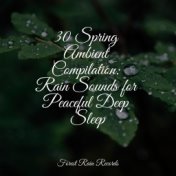 30 Spring Ambient Compilation: Rain Sounds for Peaceful Deep Sleep