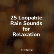 25 Loopable Rain Sounds for Relaxation