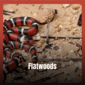 Flatwoods